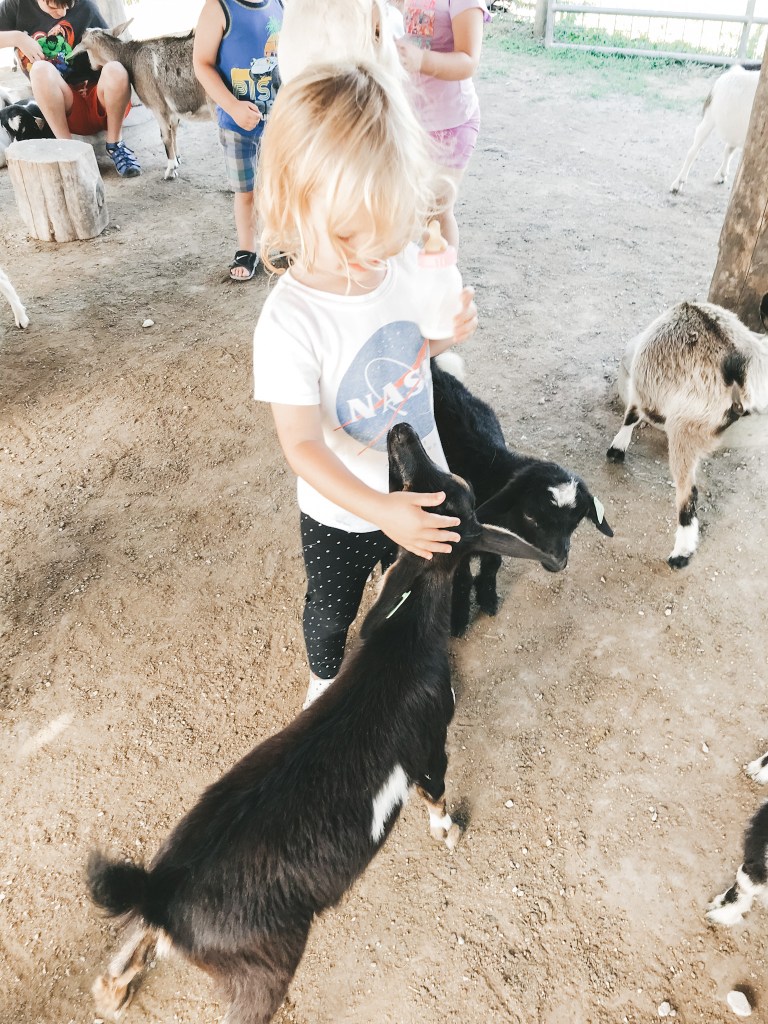 a little girl bottle feeding a goat at Deanna Rose Children's Farmstead