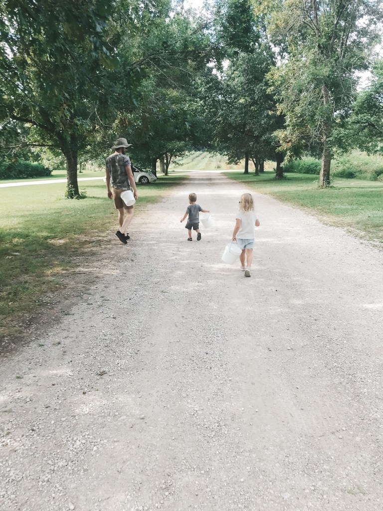 2 toddlers and their dad walking down a gravel path carrying white buckets at The Berry Patch in Kansas City